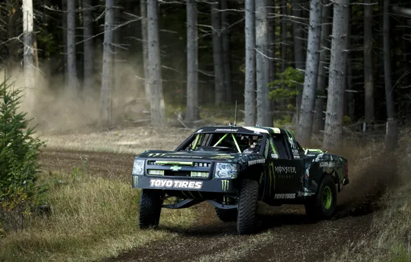 Картинка truck, chevrolet, шевроле, forest, лес