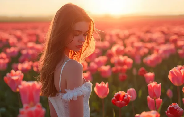Поле, девушка, солнце, свет, цветы, поза, рассвет, весна