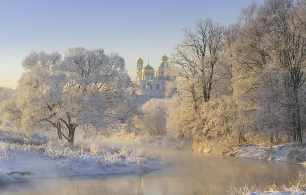 Картинка зима, иней, трава, снег, деревья, пейзаж, природа, река