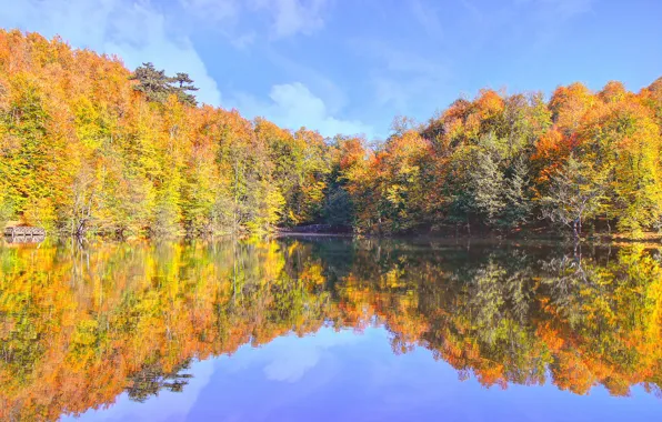 Autumn, lake, reflection, fall