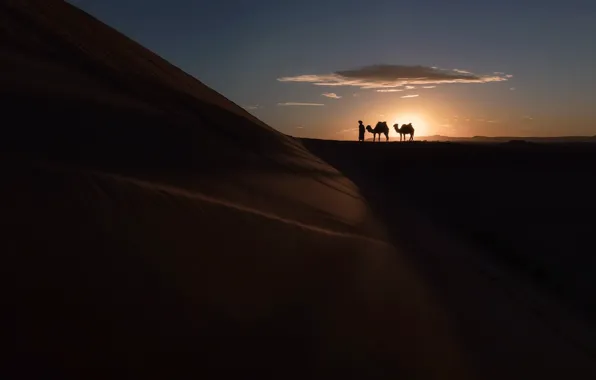 Закат, пустыня, силуэты