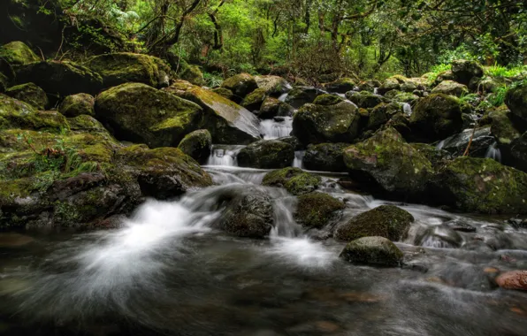River, Rocks, Timelapse, Stream