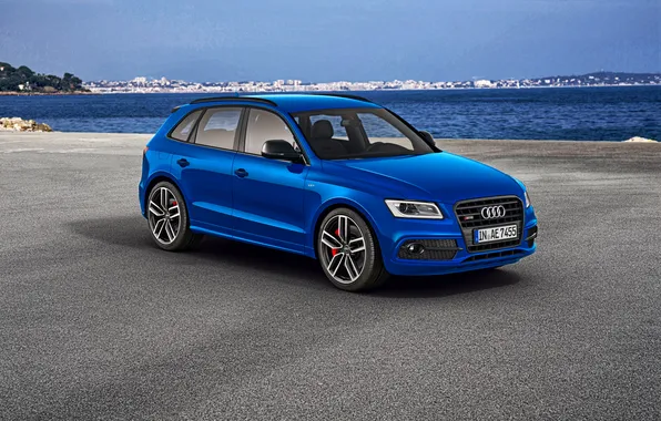 Audi, ауди, 2015, SQ5