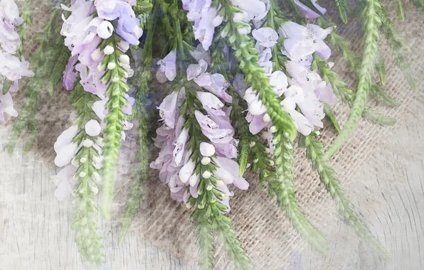 Цветы, букет, flowers, bouquet