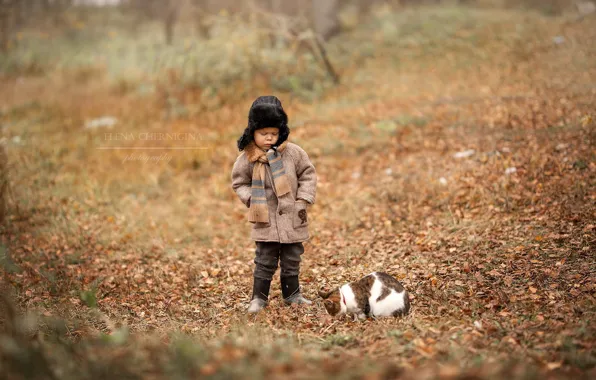 Кошка, кот, поляна, мальчик, Елена Чернигина