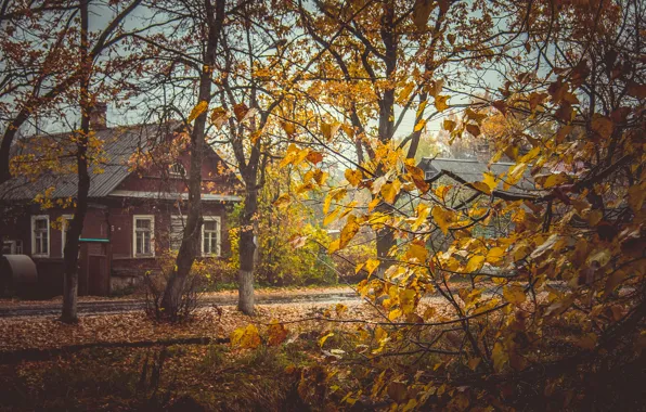 Картинка осень, листья, деревья, желтый, дом, жёлтый, деревня, россия