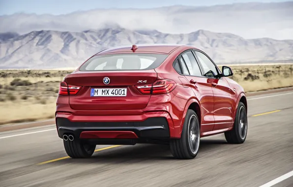 BMW, Coupe, Sports, Activity