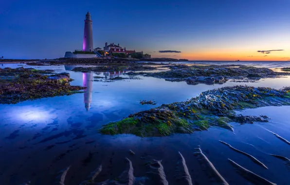 Пляж, Вечер, Маяк, Залив, Рассвет, Beach, Dawn, Evening