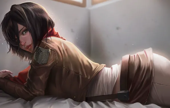 Аниме, anime, sasha, атака титанов, микаса, attack on titan, mikasa, саша