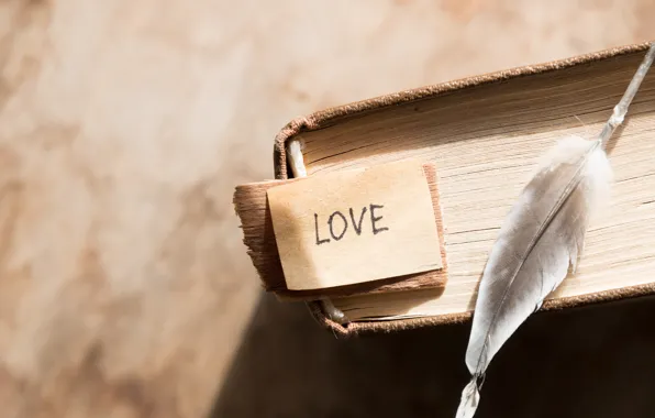 Перо, книга, love, vintage, i love you, heart, romantic, book