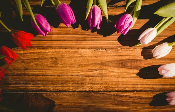 Цветы, тюльпаны, бутоны, flowers, tulips, деревянный фон, buds, wooden background
