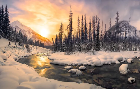 Картинка зима, лес, солнце, свет, снег, горы, река