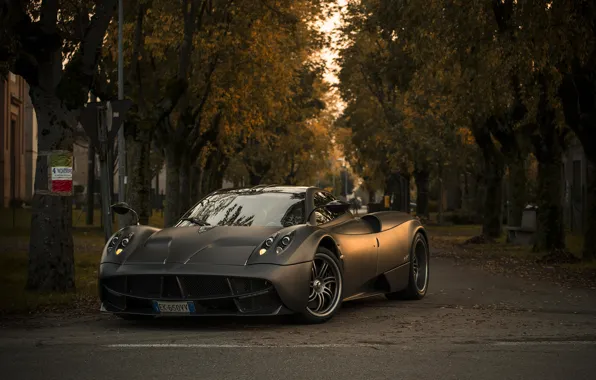 Картинка красота, аллея, beauty, alley, спортивное купе, Пагани Уайра, Pagani Huayra BC, sports coupe