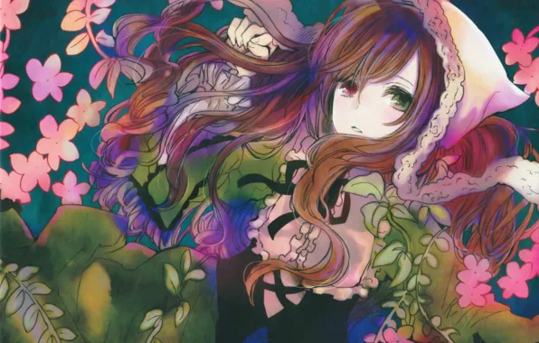 Цветы, чепчик, rozen maiden, разные глаза, suiseiseki