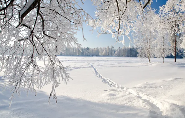 Картинка лед, зима, пейзаж, природа, ice, landscape, nature, winter