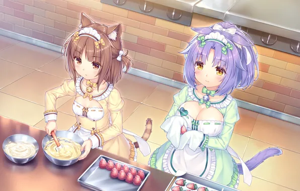 Sexy, cleavage, dress, girls, brown hair, boobs, animal ears, anime