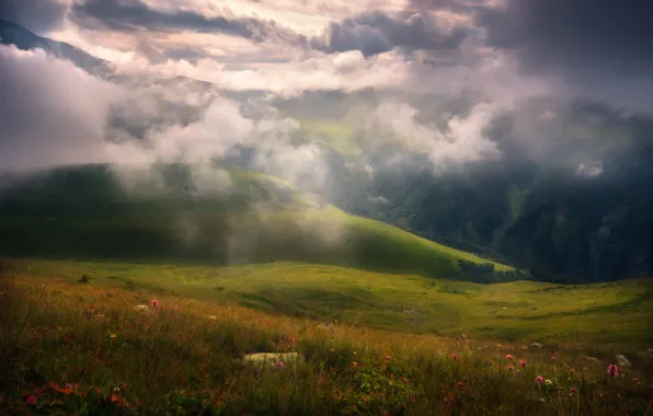 Картинка облака, цветы, горы, туман, Природа