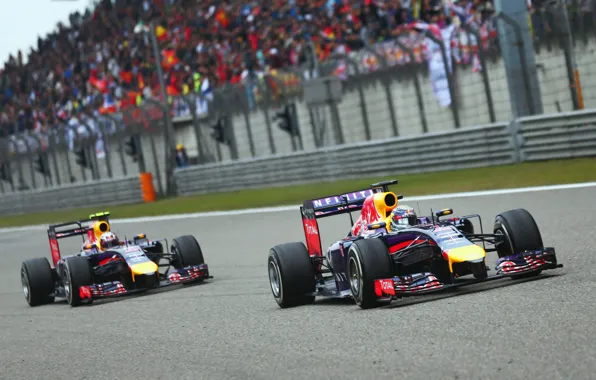 Гонщик, Formula 1, Red Bull, Vettel, Чемпион, Sebastian, RB10