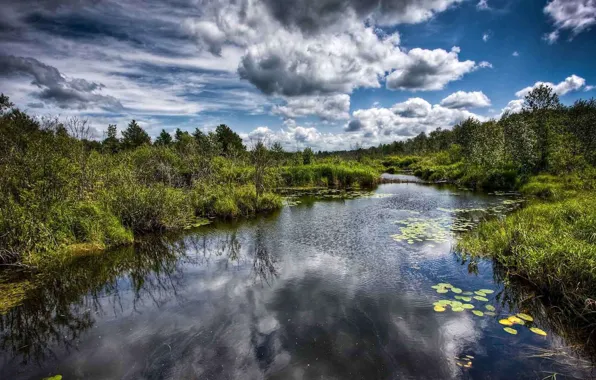 Небо, болото, grass, sky, water, creepy, greens, swamp