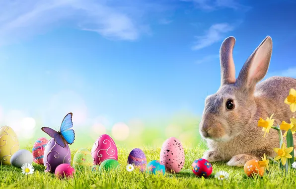 Картинка цветы, яйца, весна, colorful, Пасха, happy, flowers, spring