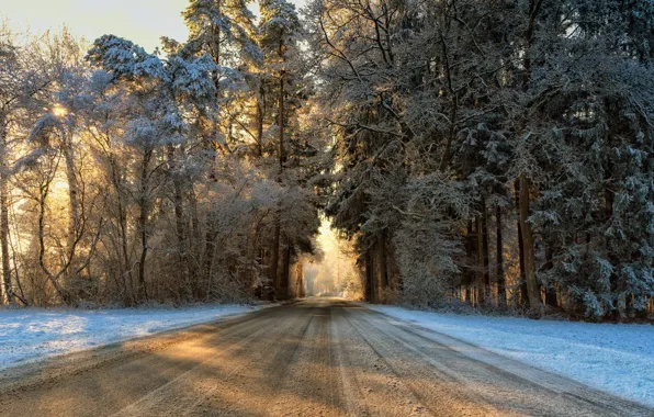Картинка зима, дорога, лес, утро