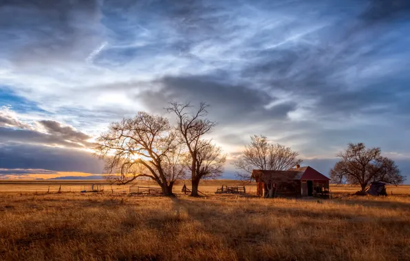 Картинка поле, дома, утро