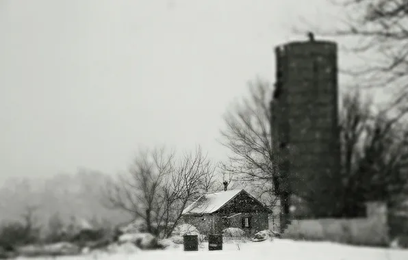 Картинка зима, снег, деревья, ветки, дом, сарай, ферма, серое небо