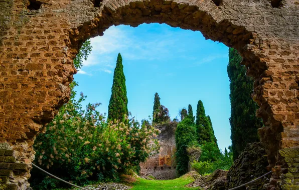 Картинка деревья, стена, Италия, развалины, арка, кусты, сады, Garden of Ninfa