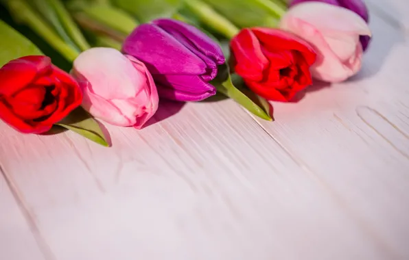 Цветы, букет, colorful, тюльпаны, red, white, wood, flowers