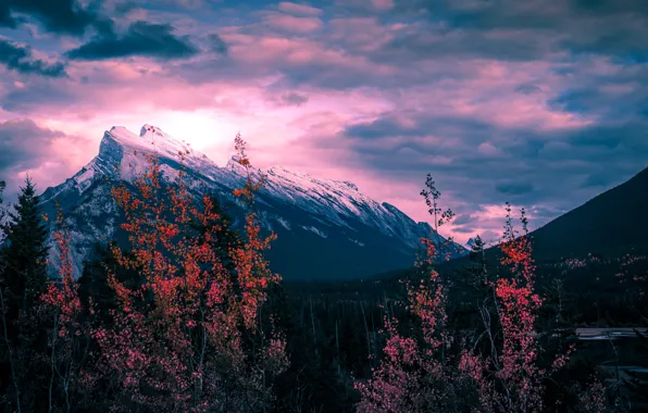 Nature, Clouds, Wood, Landscape, Mountain, Snow, Trees, Autumm