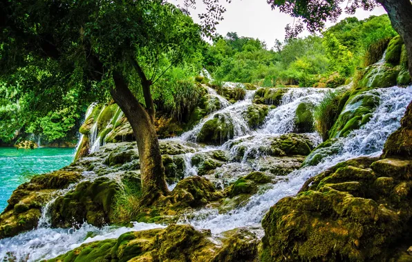 Картинка природа, парк, фото, водопад, Хорватия, Krka