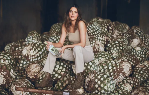 Взгляд, девушка, поза, модель, брюнетка, алкоголь, красивая, Kendall Jenner