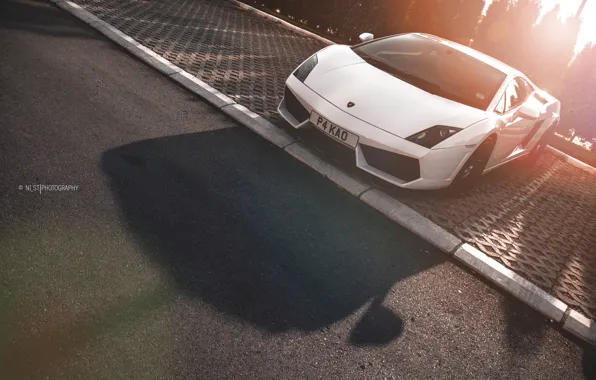Дорога, солнце, деревья, улица, тень, Lamborghini, бордюр, белая