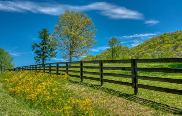 Картинка деревья, забор, луг, North Carolina, Северная Каролина, Трансильвания, Transylvania
