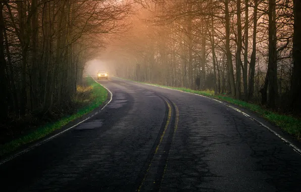 Картинка дорога, машина, туман, утро