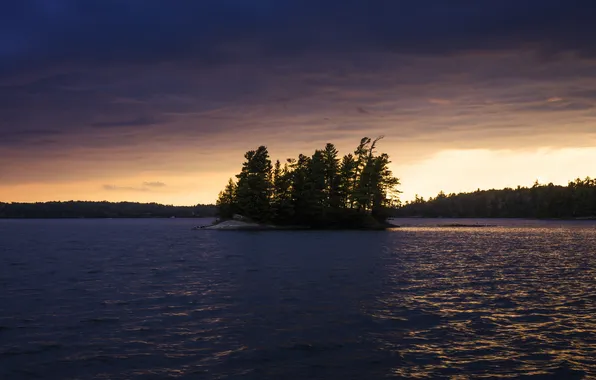 Картинка лес, озеро, остров, Канада, Ontario, Sioux Narrows Provincial Park