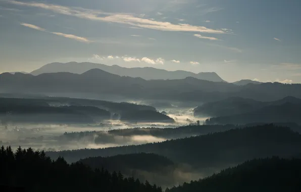 Картинка лес, горы, туман, утро, долина