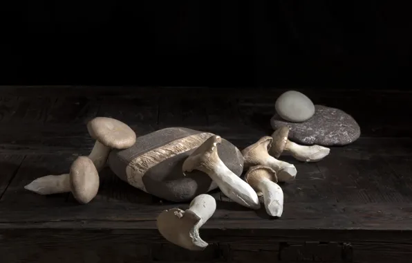 Картинка камни, грибы, еда
