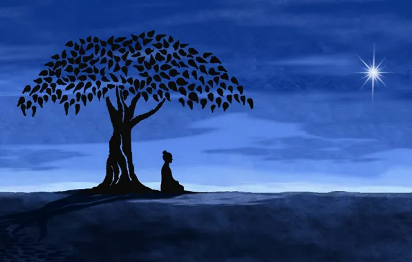 Картинка дерево, звезда, Ночь, медитация