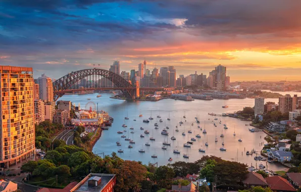 Картинка закат, мост, здания, дома, яхты, Австралия, залив, Сидней