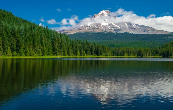 Лес, облака, озеро, гора, Орегон, Oregon, Trillium Lake, Mount Hood