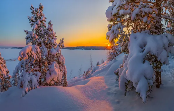 Картинка зима, снег, закат, озеро, сугробы, сосны, Россия, Ладожское озеро