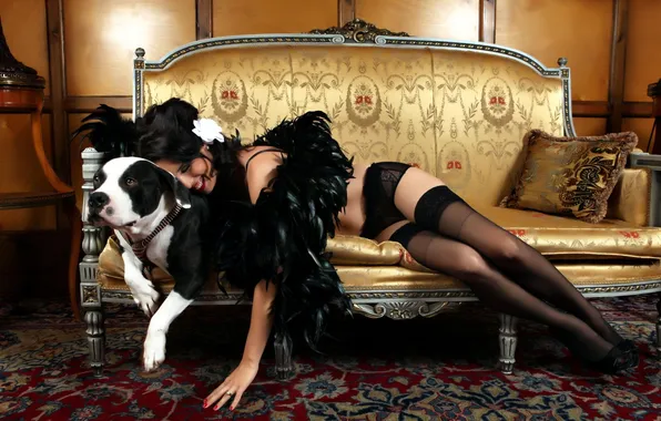 Девушка, диван, модель, белье, собака, чулки, брюнетка, кольцо