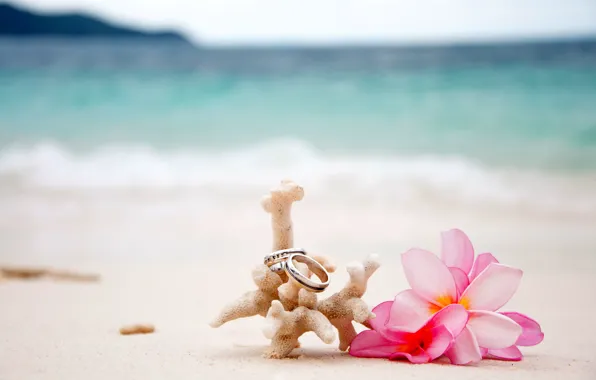 Beach, flowers, sand, wedding, rings, coral, plumeria