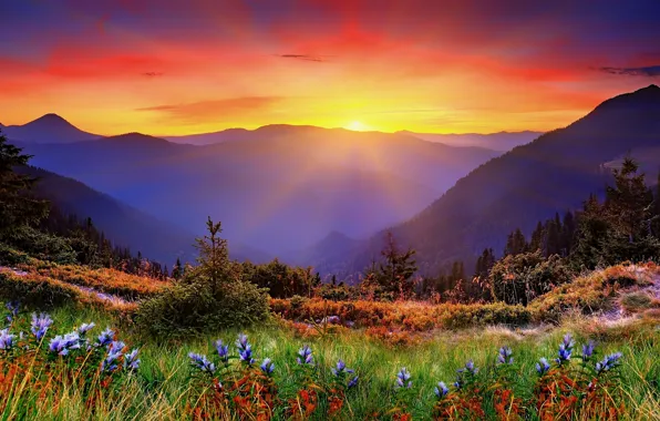 Картинка трава, закат, горы, рассвет