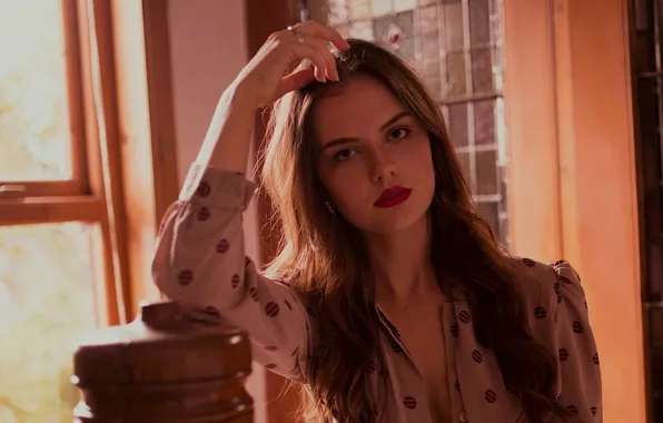 Взгляд, девушка, фото, волосы, окно, Lily Kate France