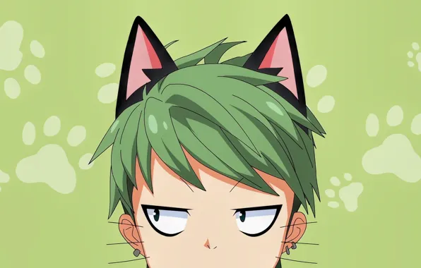 Green, anime, cat, boy, face, manga, head, japanese