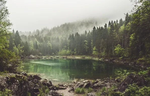 Лес, деревья, туман, озеро, камни, Germany, Eibsee