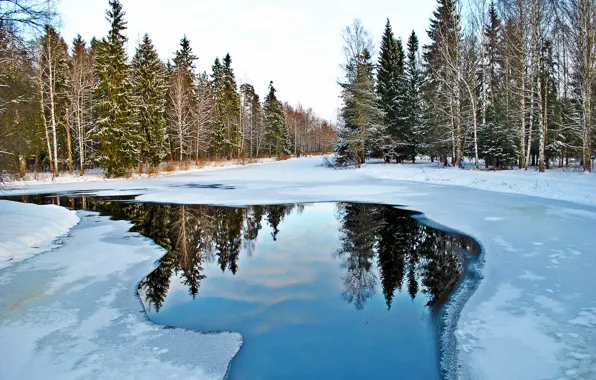 Картинка вода, снег, природа, отражение, гатчина