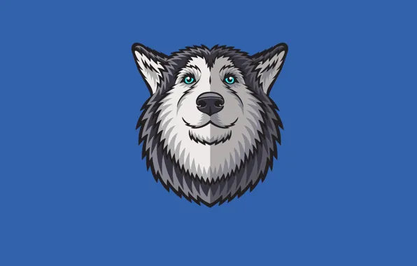 Морда, собака, минимализм, хаски, husky